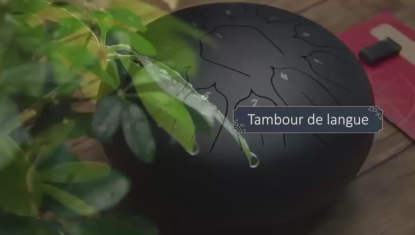 Charger la vidéo : 